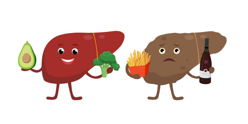 a sinistra, un fegato felice con avocado e broccoli, a destra uno malato con alcool e cibo spazzatura