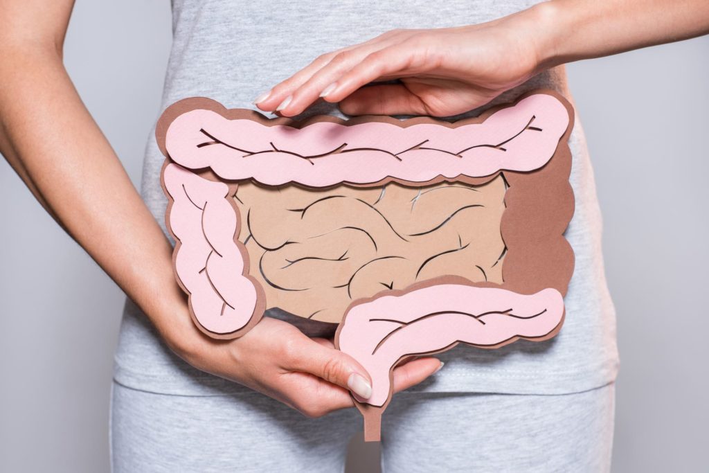 donna che tiene tra le mani l'immagine di un intestino disegnato