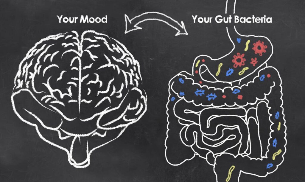 illustrazione correlazione intestino cervello alimentazione