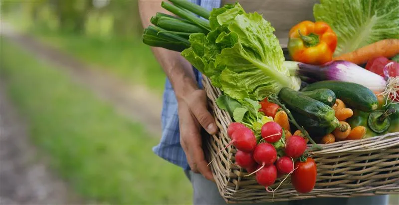 Uomo che mantiene una cesta piena di frutta e verdura